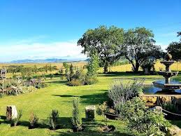 Commercial Property for Sale in Fouriesburg Rural Free State